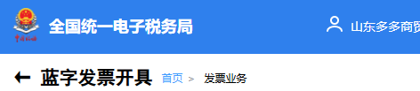 电子税务局实操系统